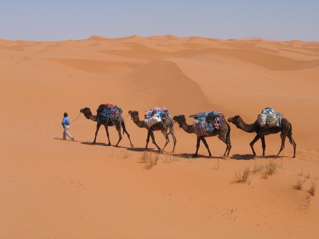 Camel Trek Bivouac 호텔 메르주가 객실 사진