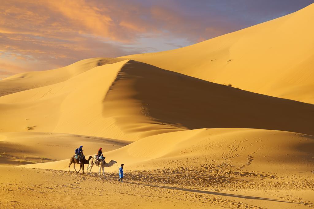Camel Trek Bivouac 호텔 메르주가 객실 사진